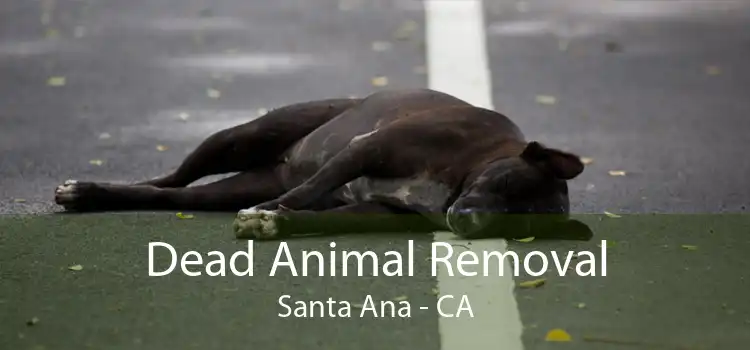 Dead Animal Removal Santa Ana - CA