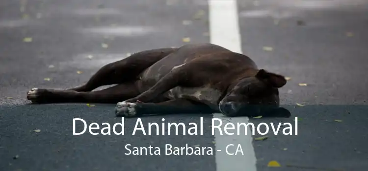 Dead Animal Removal Santa Barbara - CA