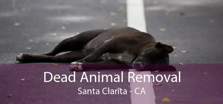 Dead Animal Removal Santa Clarita - CA