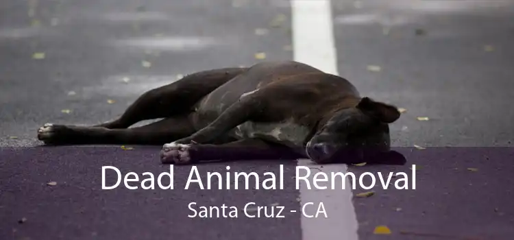 Dead Animal Removal Santa Cruz - CA