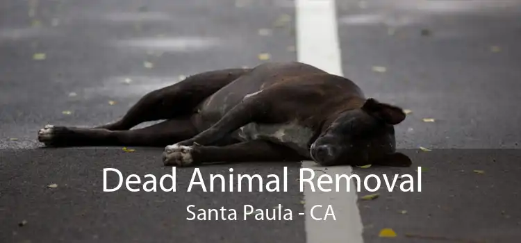 Dead Animal Removal Santa Paula - CA