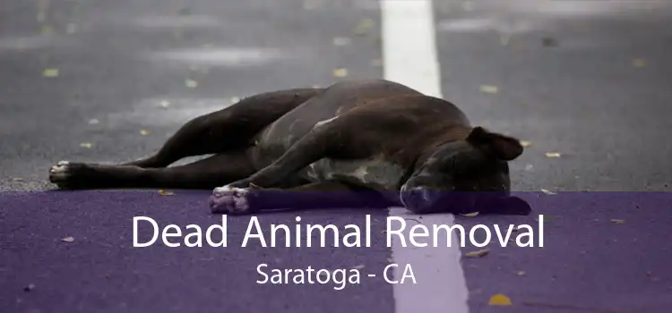 Dead Animal Removal Saratoga - CA