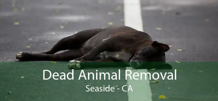 Dead Animal Removal Seaside - CA