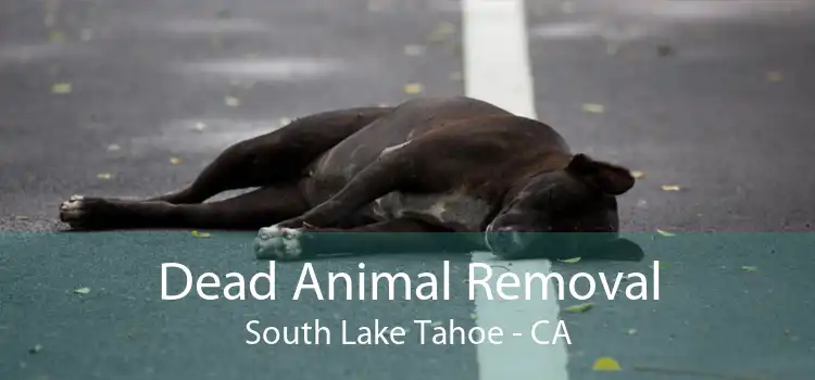 Dead Animal Removal South Lake Tahoe - CA