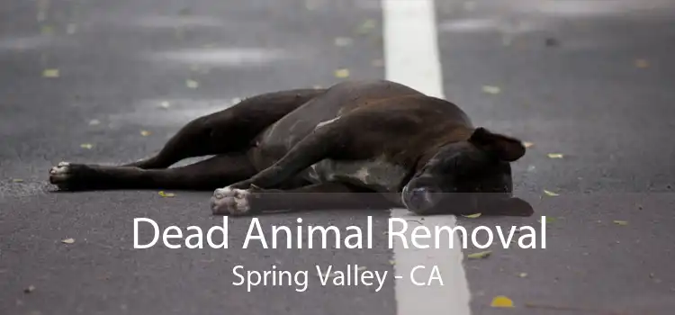 Dead Animal Removal Spring Valley - CA