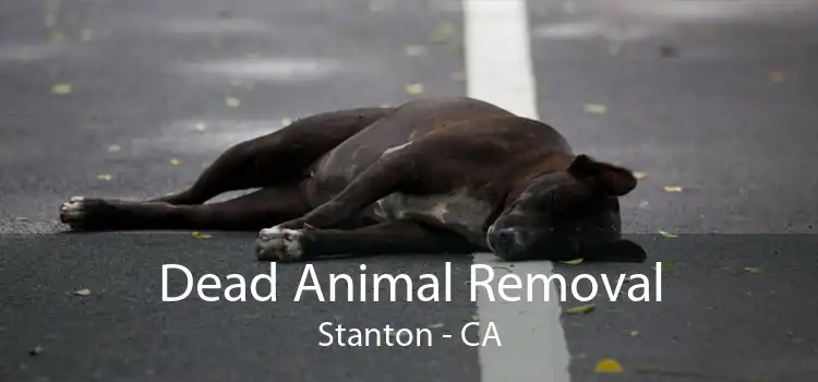 Dead Animal Removal Stanton - CA