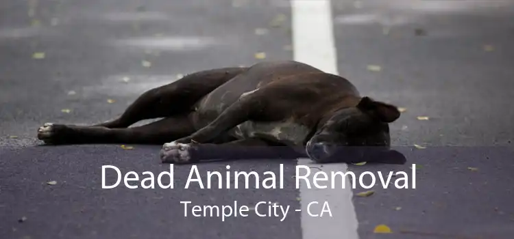 Dead Animal Removal Temple City - CA