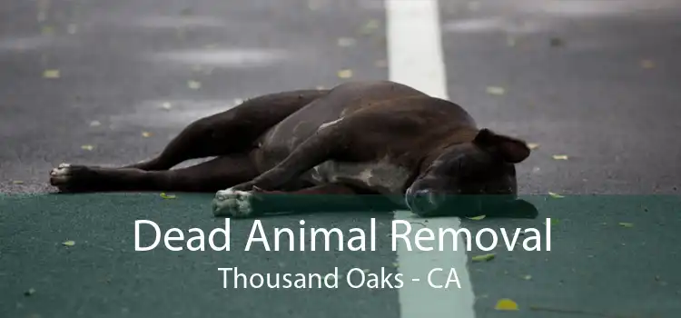 Dead Animal Removal Thousand Oaks - CA