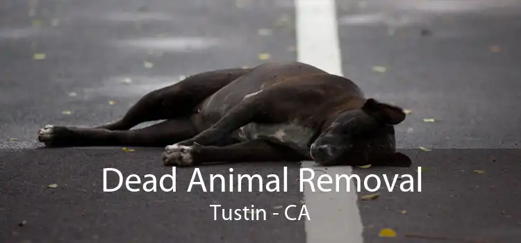 Dead Animal Removal Tustin - CA