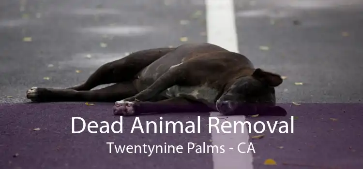 Dead Animal Removal Twentynine Palms - CA