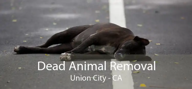 Dead Animal Removal Union City - CA