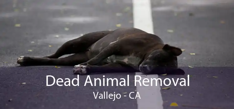 Dead Animal Removal Vallejo - CA