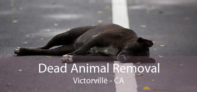 Dead Animal Removal Victorville - CA