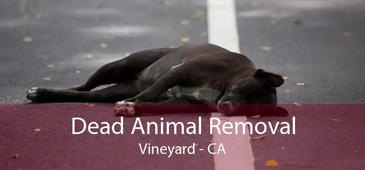 Dead Animal Removal Vineyard - CA