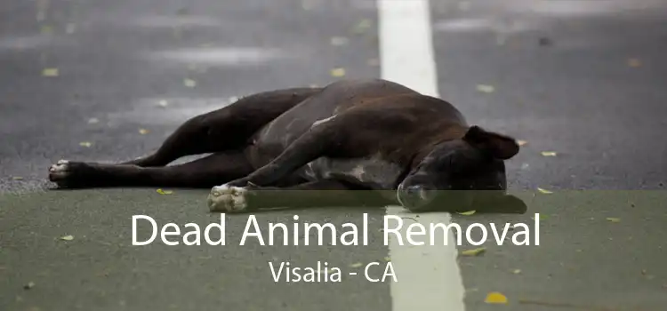 Dead Animal Removal Visalia - CA