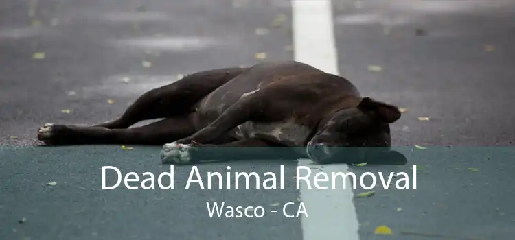 Dead Animal Removal Wasco - CA