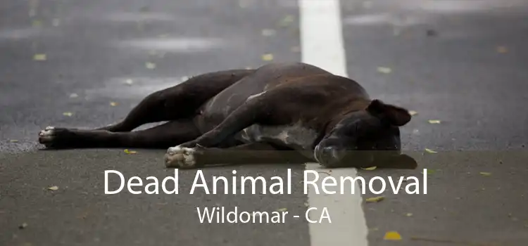 Dead Animal Removal Wildomar - CA