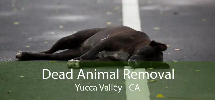 Dead Animal Removal Yucca Valley - CA