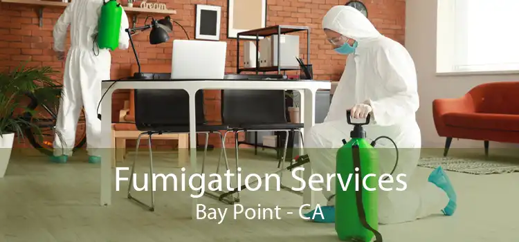 Fumigation Services Bay Point - CA