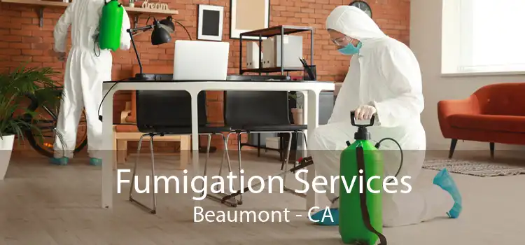 Fumigation Services Beaumont - CA