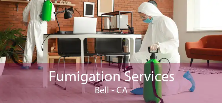 Fumigation Services Bell - CA