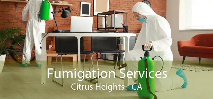 Fumigation Services Citrus Heights - CA