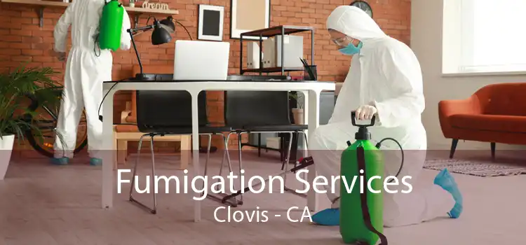 Fumigation Services Clovis - CA