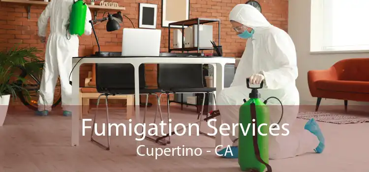 Fumigation Services Cupertino - CA