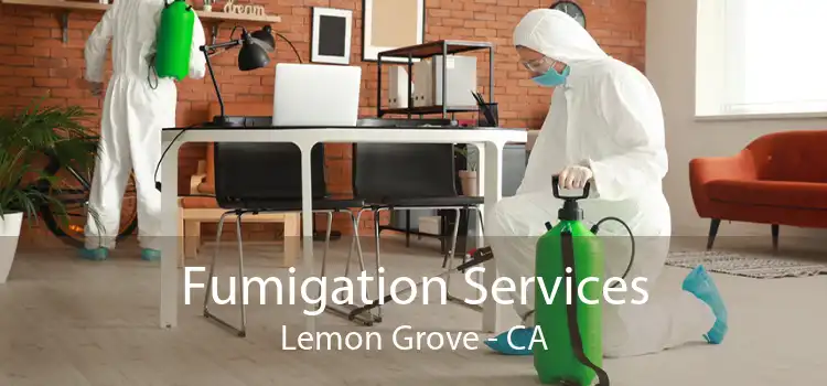 Fumigation Services Lemon Grove - CA