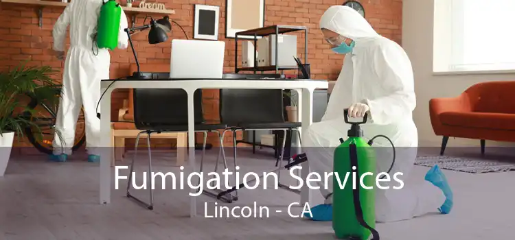 Fumigation Services Lincoln - CA