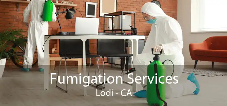 Fumigation Services Lodi - CA