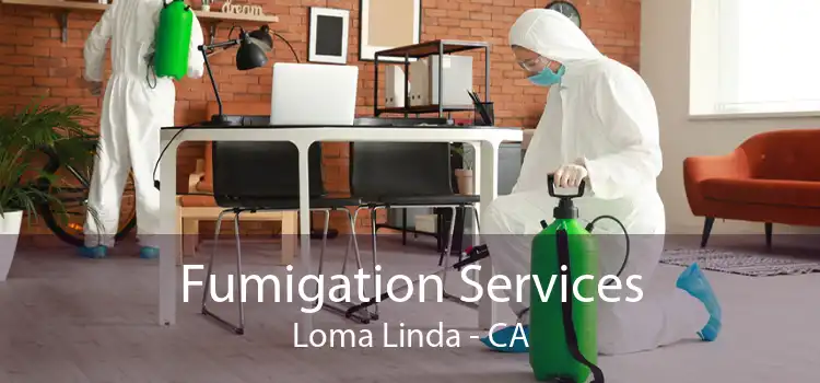 Fumigation Services Loma Linda - CA