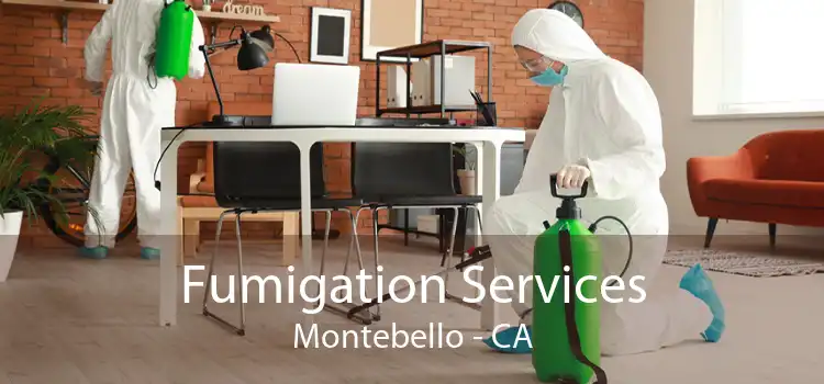 Fumigation Services Montebello - CA