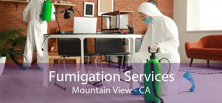 Fumigation Services Mountain View - CA