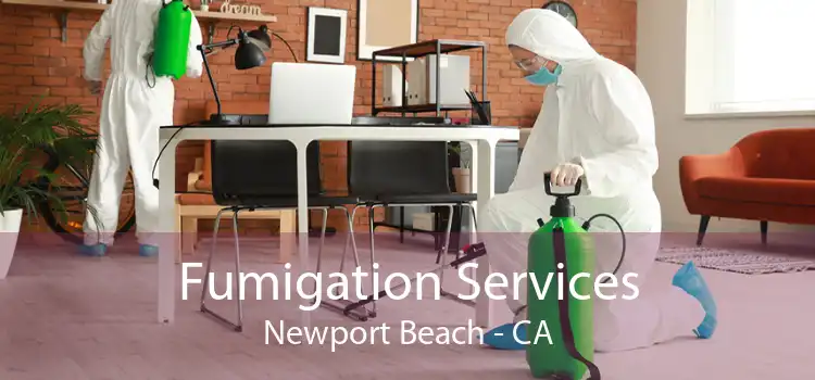 Fumigation Services Newport Beach - CA