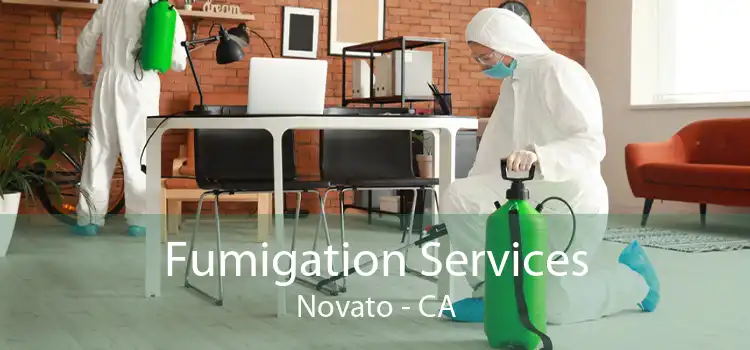 Fumigation Services Novato - CA