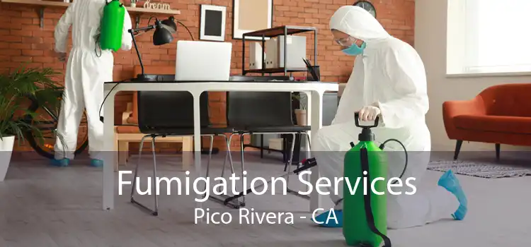 Fumigation Services Pico Rivera - CA