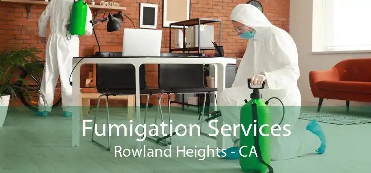 Fumigation Services Rowland Heights - CA
