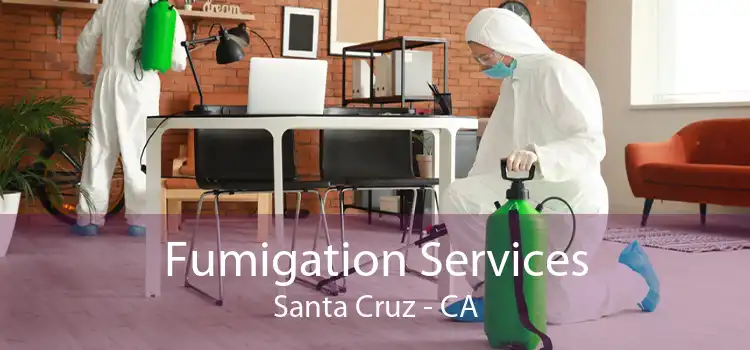 Fumigation Services Santa Cruz - CA