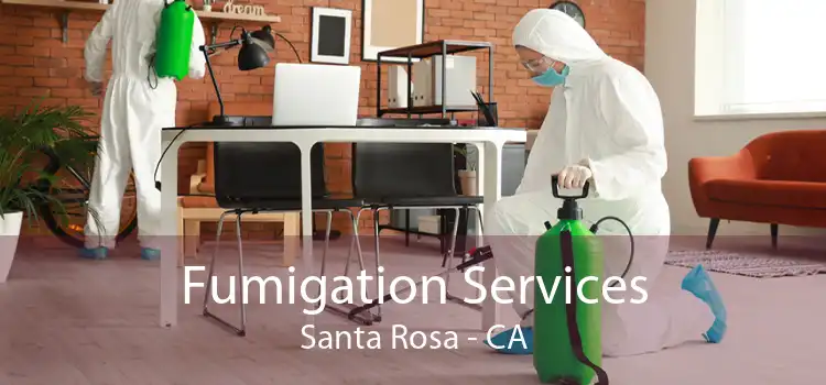 Fumigation Services Santa Rosa - CA