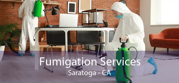 Fumigation Services Saratoga - CA