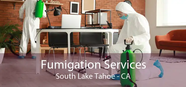 Fumigation Services South Lake Tahoe - CA