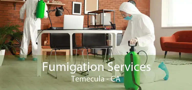 Fumigation Services Temecula - CA