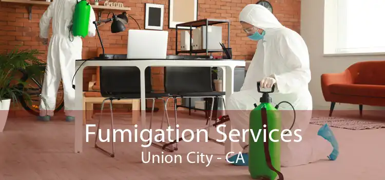 Fumigation Services Union City - CA