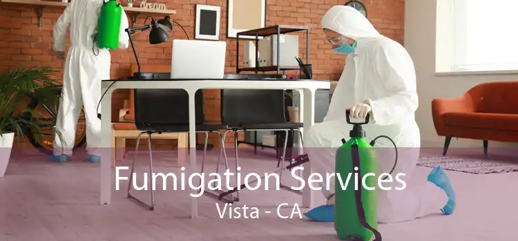 Fumigation Services Vista - CA
