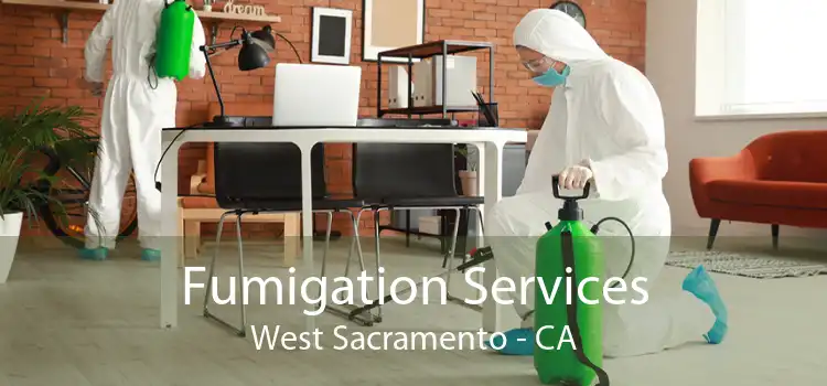 Fumigation Services West Sacramento - CA