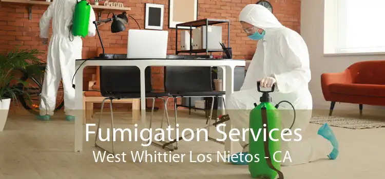 Fumigation Services West Whittier Los Nietos - CA