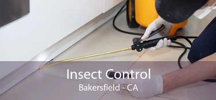 Insect Control Bakersfield - CA