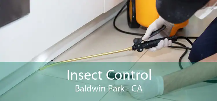 Insect Control Baldwin Park - CA