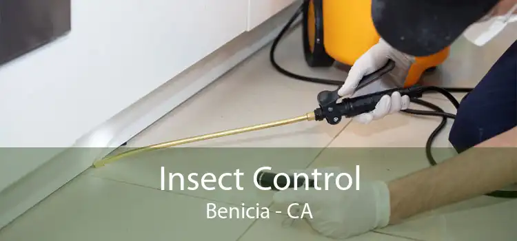 Insect Control Benicia - CA